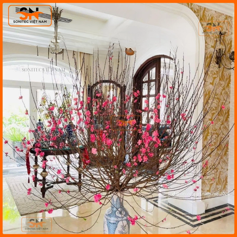 Trang trí cây đào ngày tết cho cửa hàng thời trang