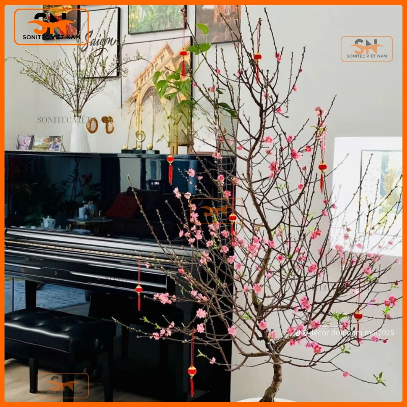 Trang trí cây đào ngày tết phong cách truyền thống Việt