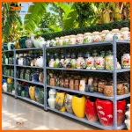 Kệ trưng bày đồ gốm sứ xưởng